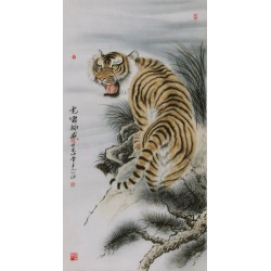 Tiger - CNAG000026