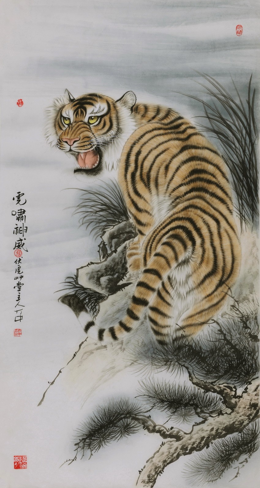 Tiger - CNAG000026