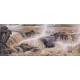 Other Landscape - CNAG002612