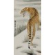 Tiger - CNAG000027