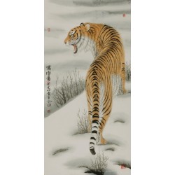 Tiger - CNAG000027