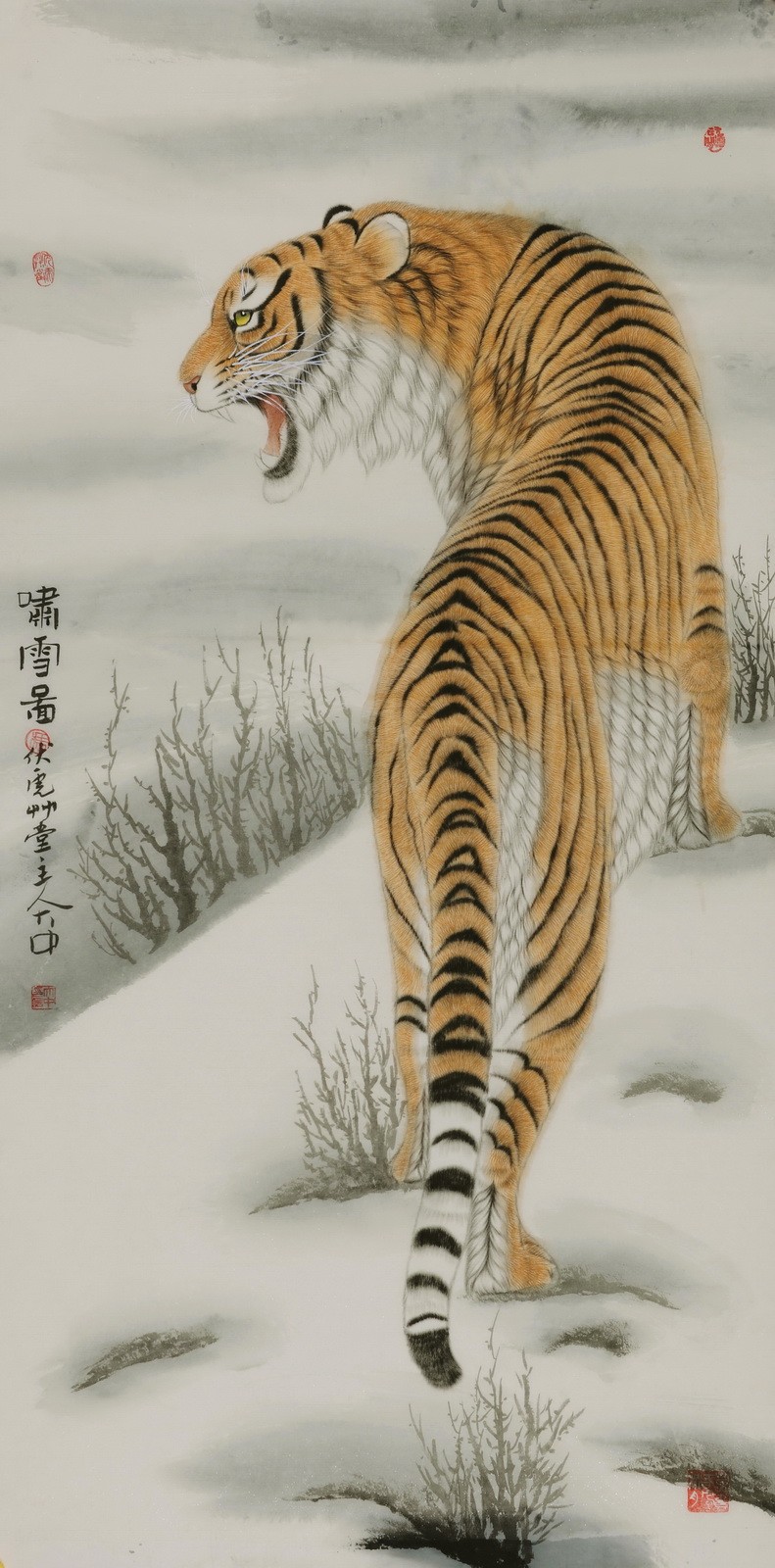 Tiger - CNAG000027