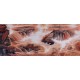 Other Landscape - CNAG002744
