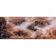 Other Landscape - CNAG002747