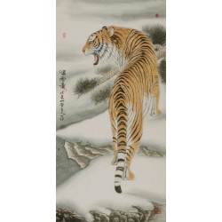 Tiger - CNAG000028
