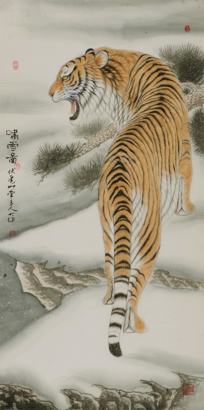 Tiger - CNAG000028