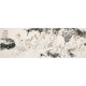 Other Firgure - CNAG002921