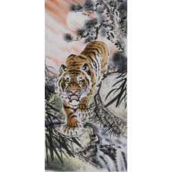 Tiger - CNAG000030