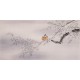 Plum - CNAG003085