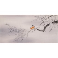Plum - CNAG003085
