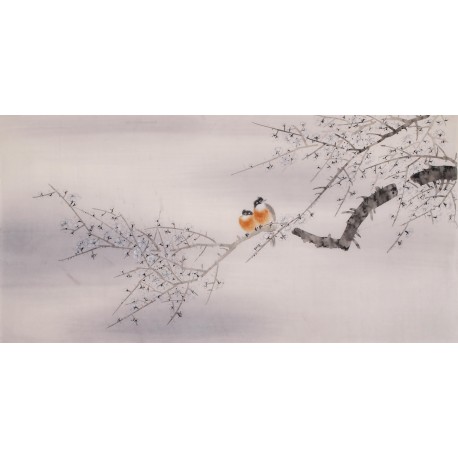 Plum - CNAG003085
