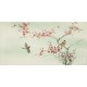 Plum - CNAG003096