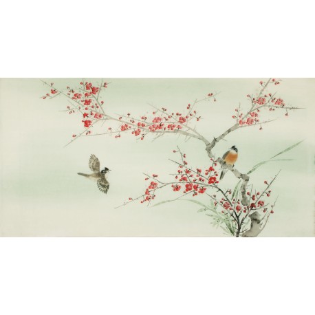 Plum - CNAG003096
