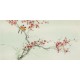 Plum - CNAG003097