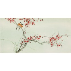Plum - CNAG003097