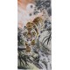 Tiger - CNAG000031