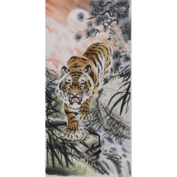Tiger - CNAG000031
