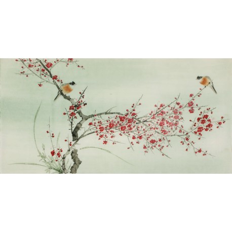 Plum - CNAG003098