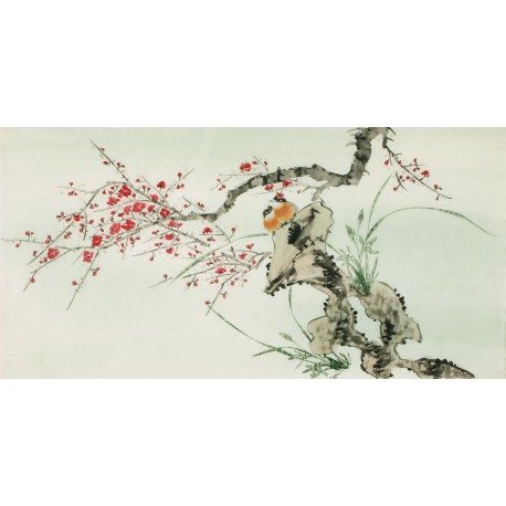 Plum - CNAG003099