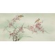 Plum - CNAG003100