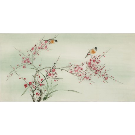 Plum - CNAG003100