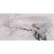 Plum - CNAG003101