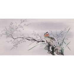 Plum - CNAG003101