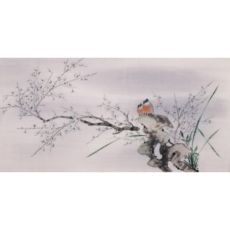Plum - CNAG003101