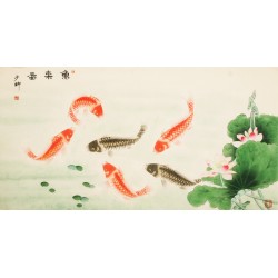 Fish - CNAG003106
