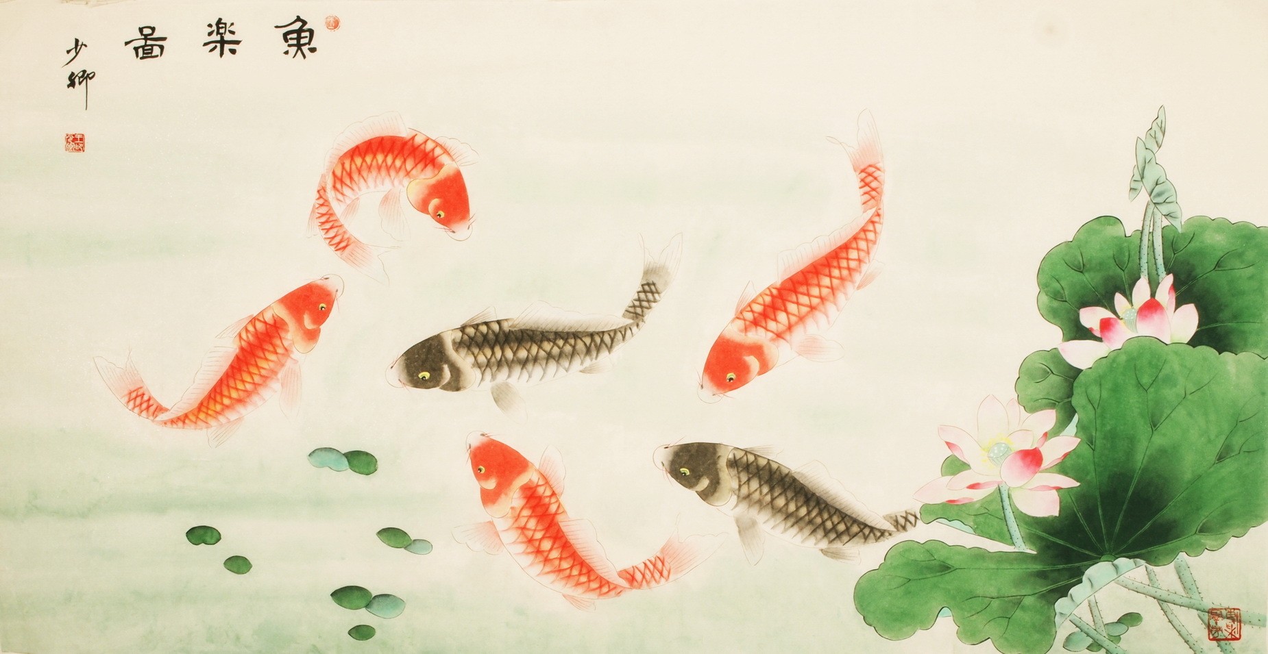 Fish - CNAG003106
