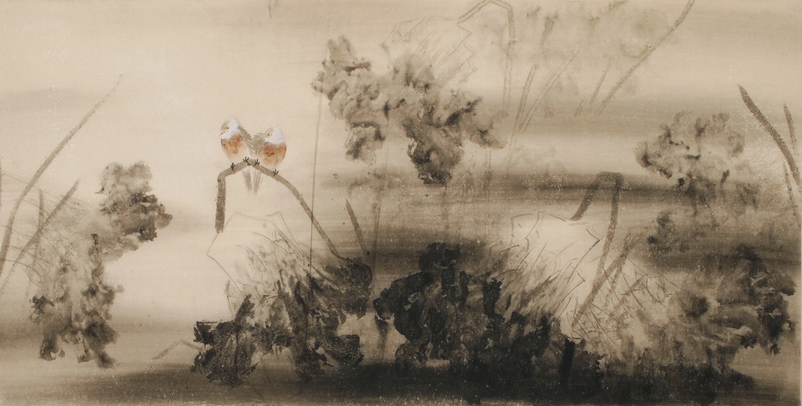 Lotus - CNAG003111