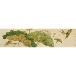 Lotus - CNAG003116