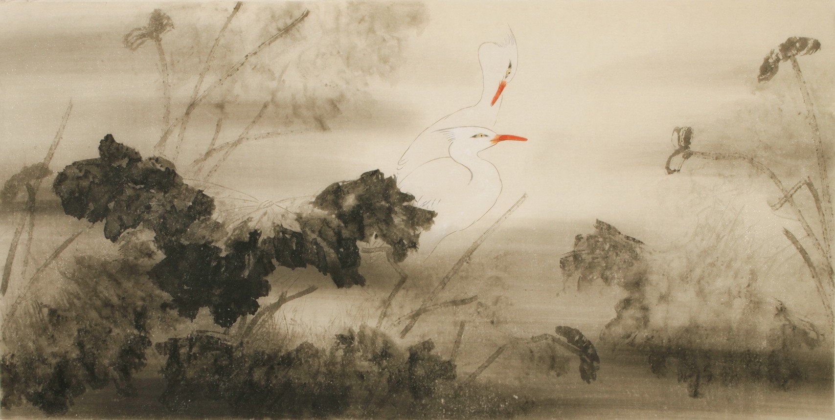 Egret - CNAG003119