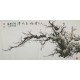 Plum - CNAG003123