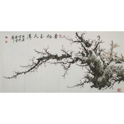 Plum - CNAG003123