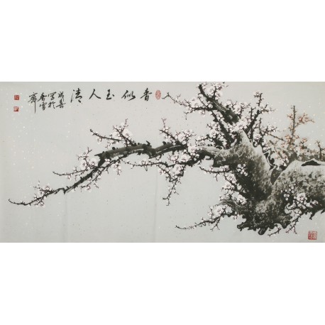 Plum - CNAG003123