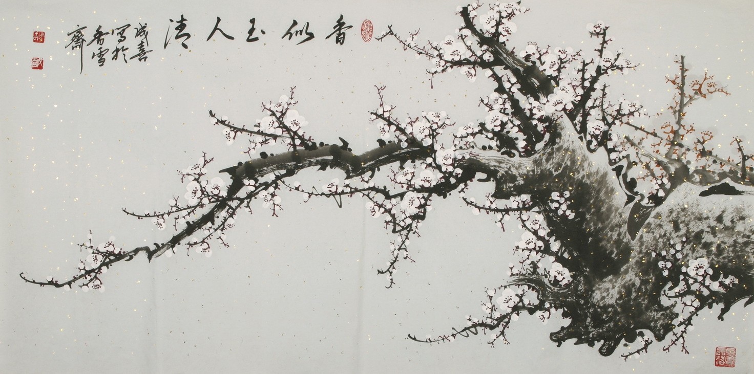 Plum - CNAG003123