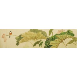 Lotus - CNAG003130