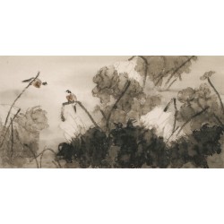 Lotus - CNAG003135
