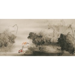 Mandarin Duck - CNAG003138