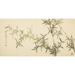 Bamboo - CNAG003141