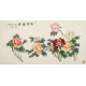 Peony - CNAG003142