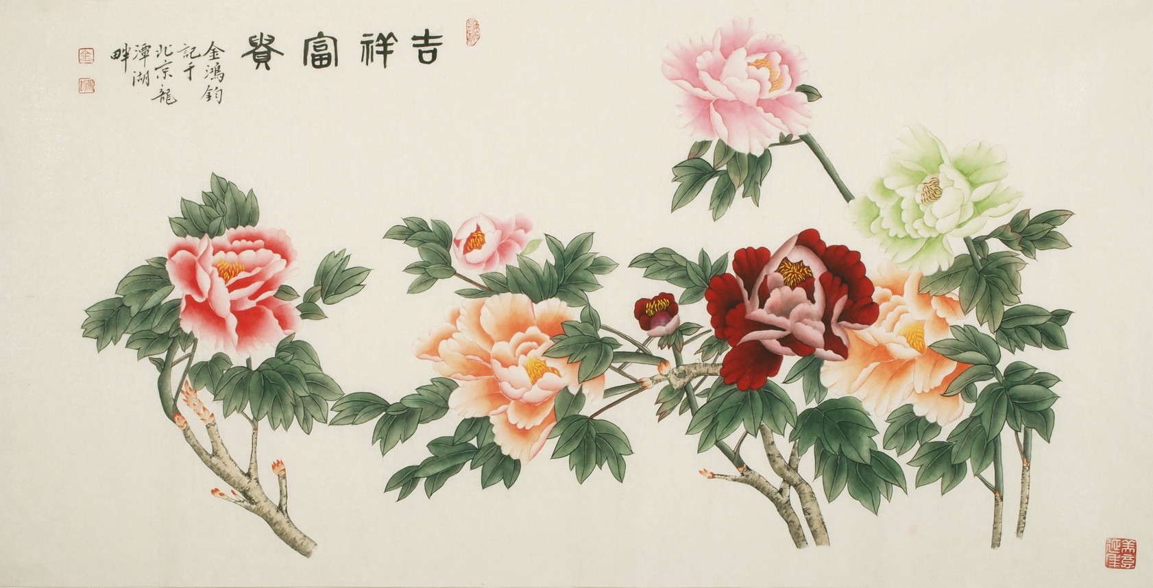 Peony - CNAG003142