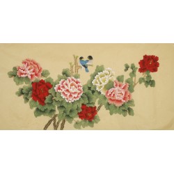 Peony - CNAG003149