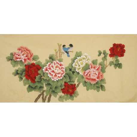 Peony - CNAG003149