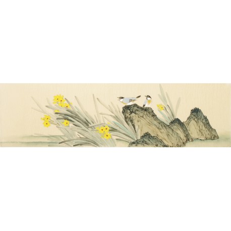 Other Birds - CNAG003153