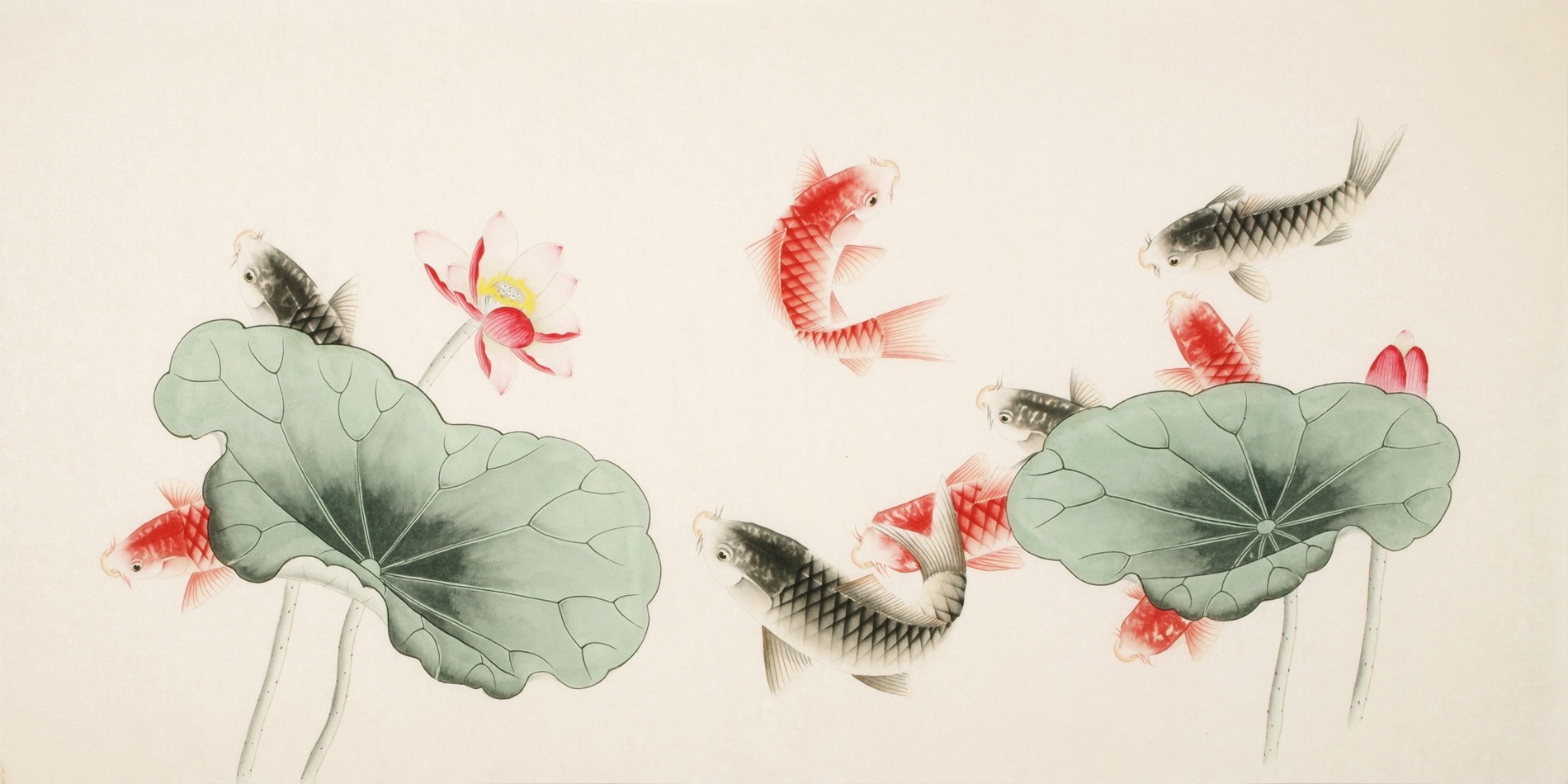 Fish - CNAG003155