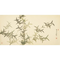 Bamboo - CNAG003156