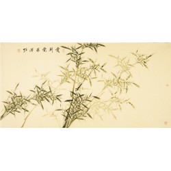 Green Bamboo - CNAG003159