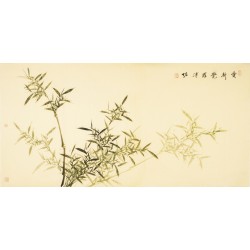 Green Bamboo - CNAG003160